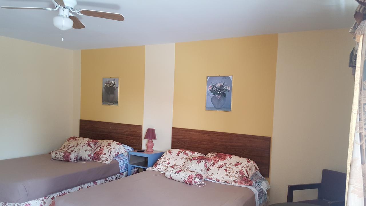 Alpine Motel In Heart Of Wisconsin Dells Downtown. Extérieur photo