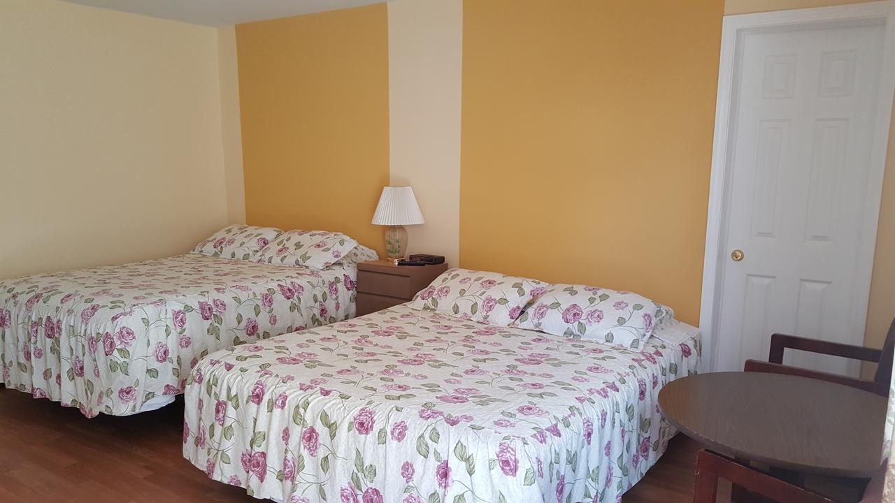 Alpine Motel In Heart Of Wisconsin Dells Downtown. Extérieur photo