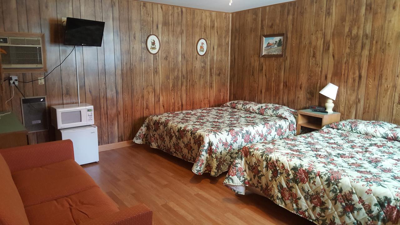 Alpine Motel In Heart Of Wisconsin Dells Downtown. Extérieur photo