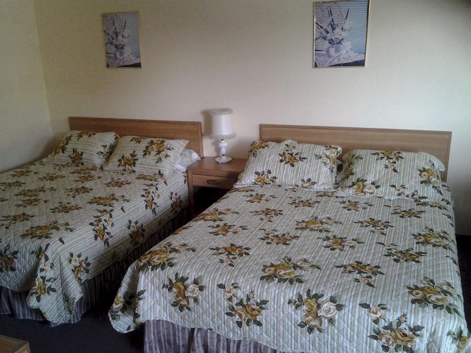 Alpine Motel In Heart Of Wisconsin Dells Downtown. Extérieur photo