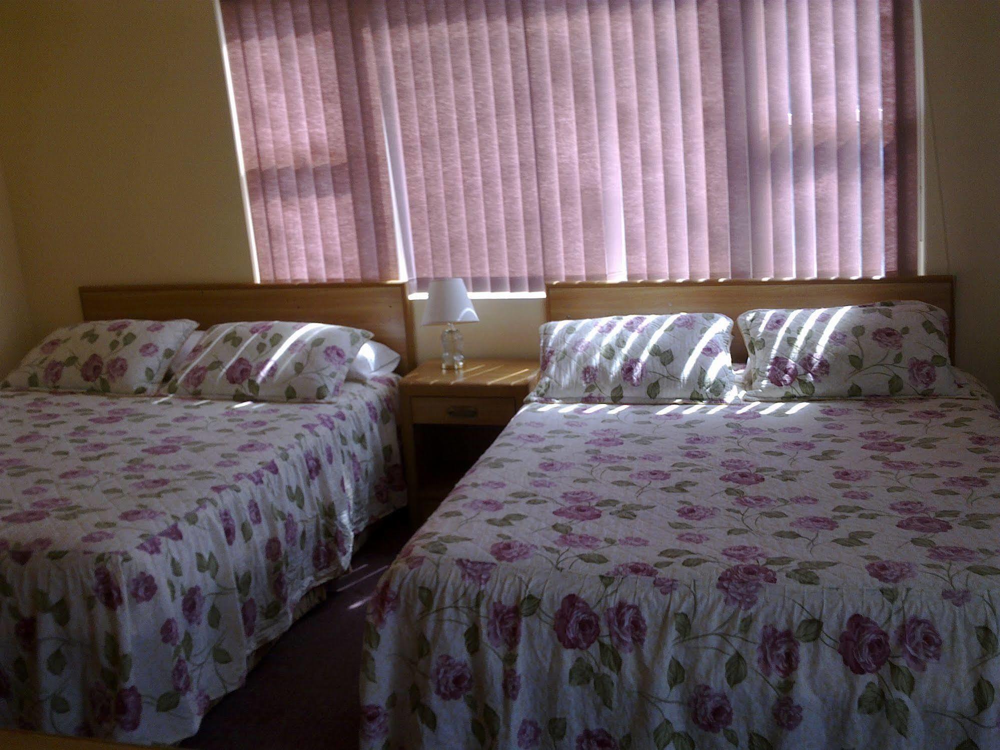 Alpine Motel In Heart Of Wisconsin Dells Downtown. Extérieur photo